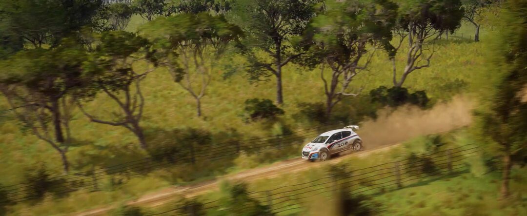 DiRT Rally 2.0 Peugeot